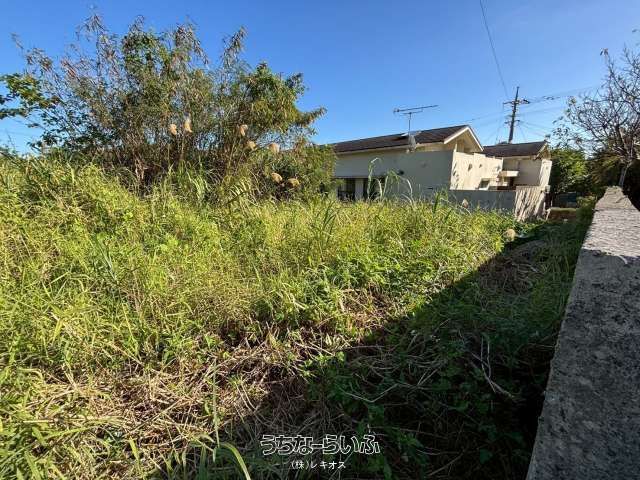 Land for Sale in Nakijin Village, Okinawa - 442.08 sqm Plot - Thumbnail 2