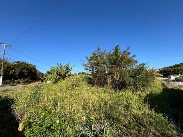 Land for Sale in Nakijin Village, Okinawa - 442.08 sqm Plot - Thumbnail 4