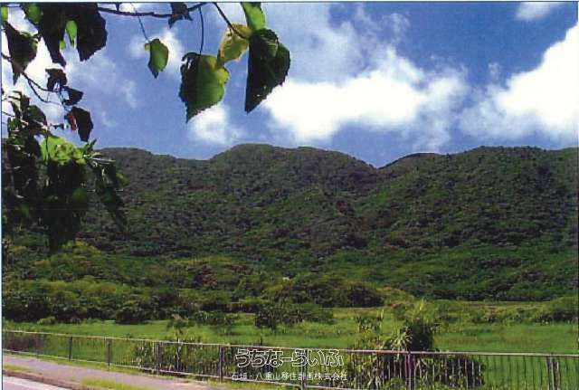 Large 22,558 sqm Land Plot for Sale in Ishigaki, Okinawa - Thumbnail 3