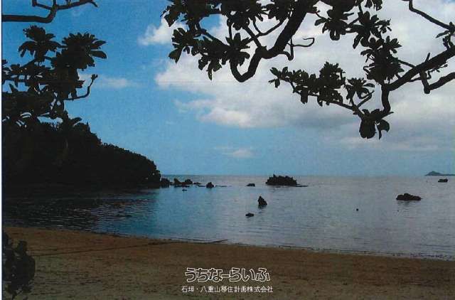 Large 22,558 sqm Land Plot for Sale in Ishigaki, Okinawa - Thumbnail 4