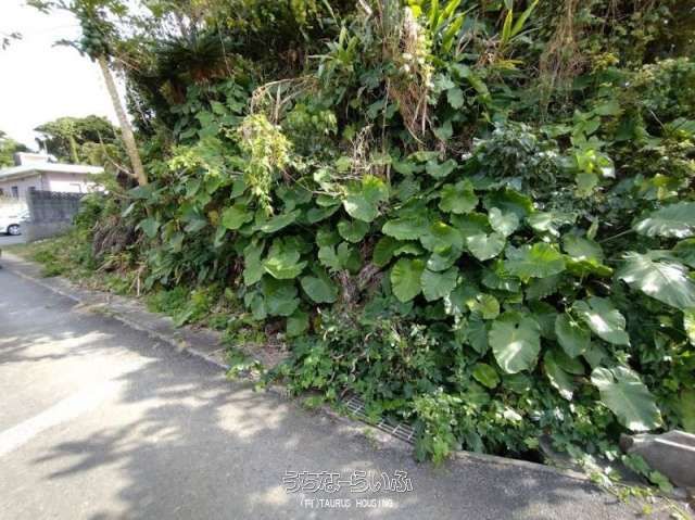 1896.49 sqm Land for Sale in Nakijin Village, Okinawa - Thumbnail 2
