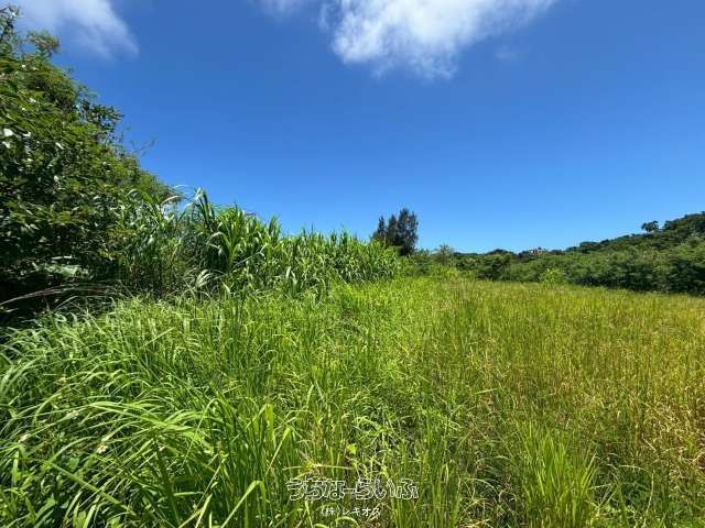 1,678 sqm Land for Sale in Uruma, Okinawa - Prime Development Site - Thumbnail 2