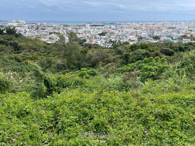 130 Tsubo Land for Sale in Koja, Okinawa City - Elevated Plot - Thumbnail 2