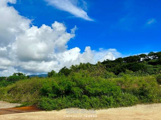 5,895m² Land for Sale in Ishigaki with Pacific Views - Thumbnail 3