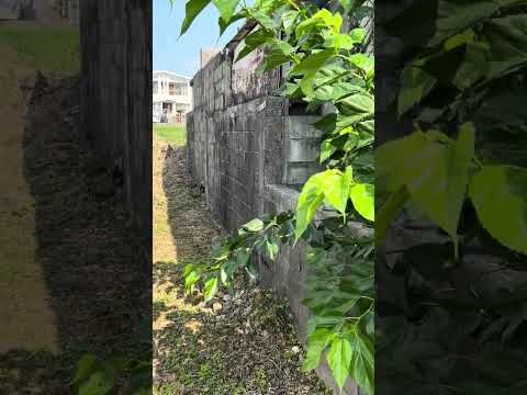 306m² Residential Land for Sale in Itoman City, Okinawa - Thumbnail 3