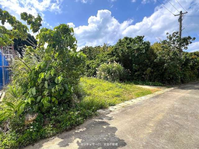 301.87 sqm Residential Land Plot in Shimoji, Miyakojima - Thumbnail 2