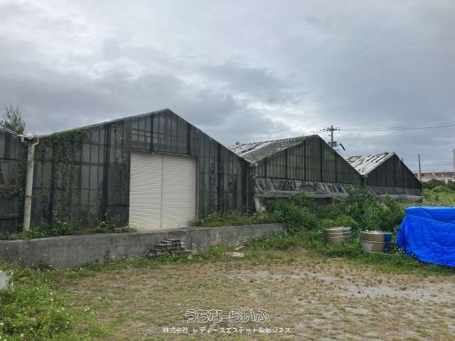 9676 sqm Agricultural Land with Office in Ginoza Village, Okinawa - Thumbnail 4