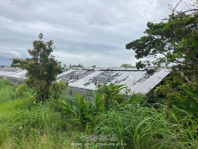 9676 sqm Agricultural Land with Office in Ginoza Village, Okinawa - Thumbnail 3