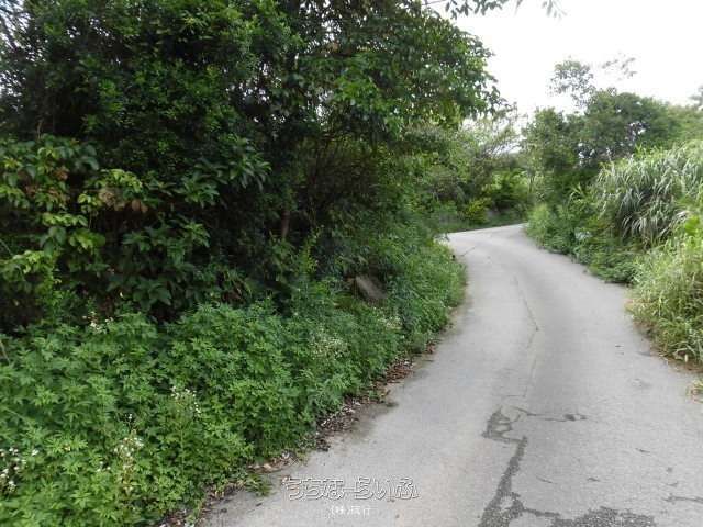 776 sqm Land for Sale in Nakijin Village, Okinawa - Thumbnail 4
