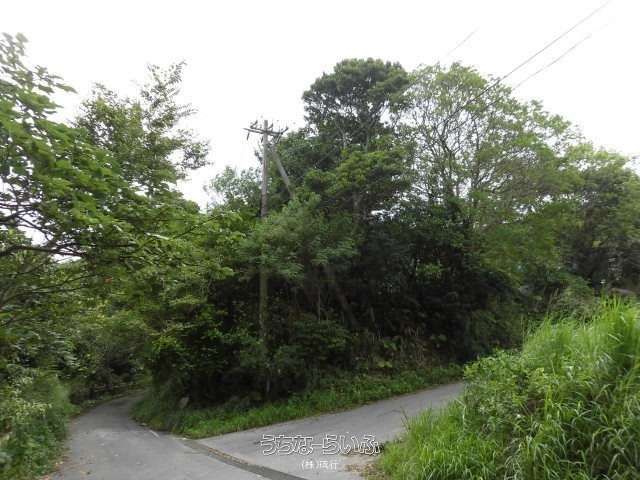 776 sqm Land for Sale in Nakijin Village, Okinawa - Thumbnail 3