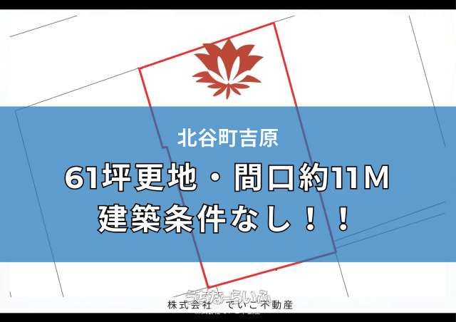 204.02 sqm Residential Land for Sale in Chatan, Okinawa - Thumbnail 3