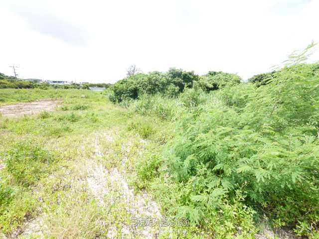 736m² Land Plot for Sale in Miyakojima City, Okinawa - Thumbnail 3