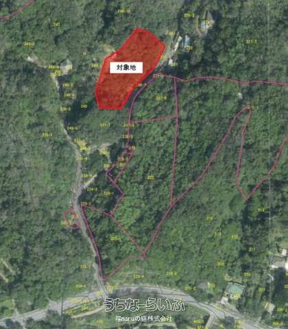 2707 sqm Land for Sale in Nakijin, Okinawa - Near Tourist Attractions - Thumbnail 2