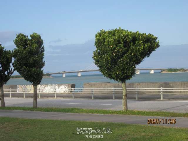 Land for Sale in Uruma with Sea Views - 1882.17 sqm - Thumbnail 2