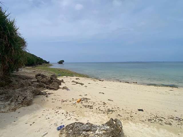 553m² Land in Motobu, Okinawa - Near Beach & Churaumi Aquarium - Thumbnail 2