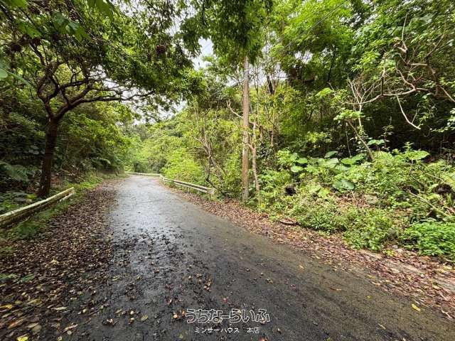 47,131 sqm Development Land for Sale in Motobu, Okinawa - Thumbnail 3