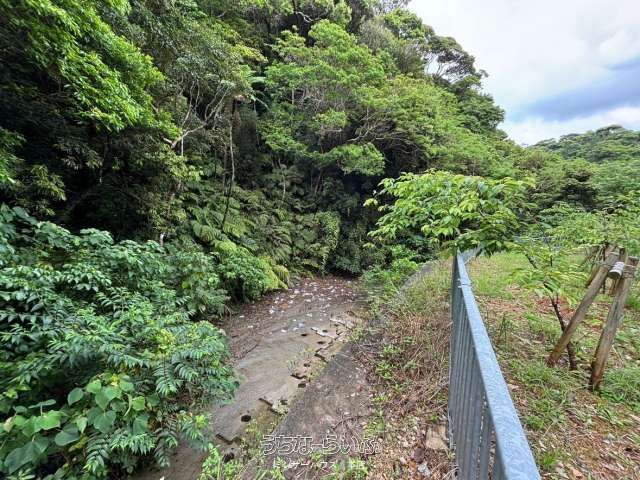 47,131 sqm Development Land for Sale in Motobu, Okinawa - Thumbnail 2