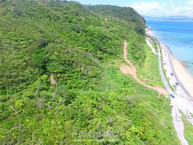 66,660 sqm Land for Sale in Nago City, Okinawa with Route 58 Frontage - Thumbnail 3