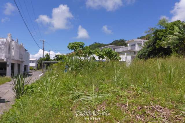 103 Tsubo Land for Sale in Ishigaki with Ocean View Potential - Thumbnail 4