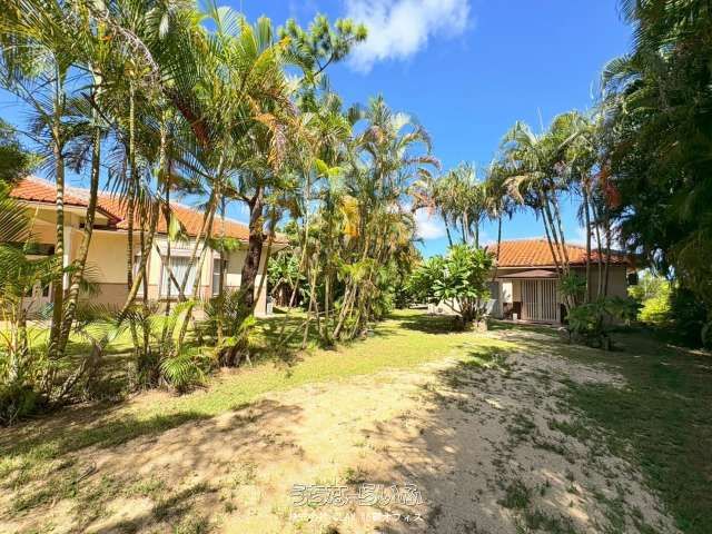 Spacious 3LDK House with Two LDKs in Ishigaki, Okinawa - Thumbnail 4