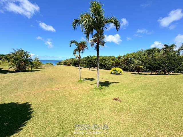Spacious 3LDK House with Two LDKs in Ishigaki, Okinawa - Thumbnail 3