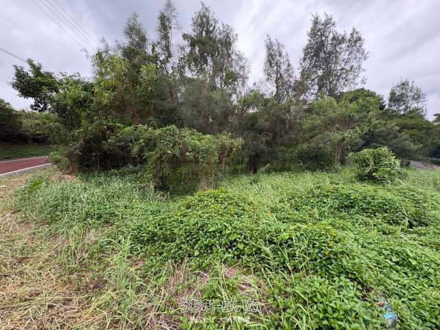 713 sqm Land for Sale in Ginoza Village, Okinawa - Thumbnail 2