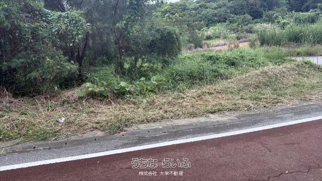713 sqm Land for Sale in Ginoza Village, Okinawa - Thumbnail 3