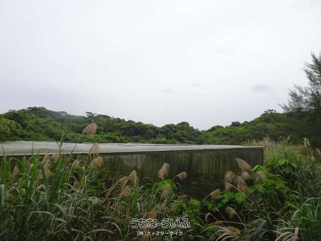 Agricultural Land with Greenhouse in Nakijin Village, Okinawa - Thumbnail 4