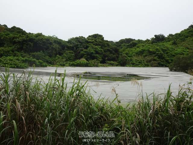 Agricultural Land with Greenhouse in Nakijin Village, Okinawa - Thumbnail 3