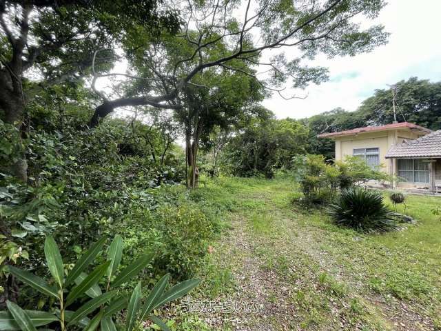 Land for Sale in Motobu Town, Okinawa - 1347.56 sqm Near Ocean Expo Park - Thumbnail 2
