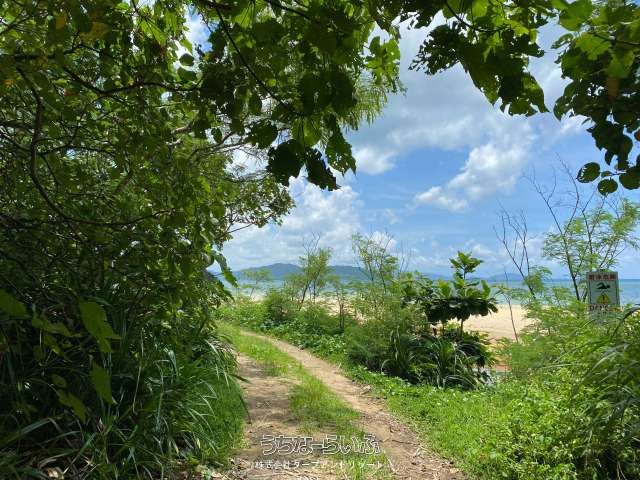 12422 Tsubo Land for Sale in Hirakubo, Ishigaki, Okinawa - Thumbnail 3