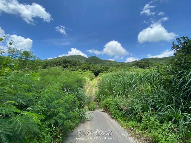 12422 Tsubo Land for Sale in Hirakubo, Ishigaki, Okinawa - Thumbnail 2