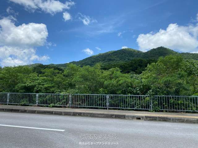 12422 Tsubo Land for Sale in Hirakubo, Ishigaki, Okinawa - Thumbnail 4