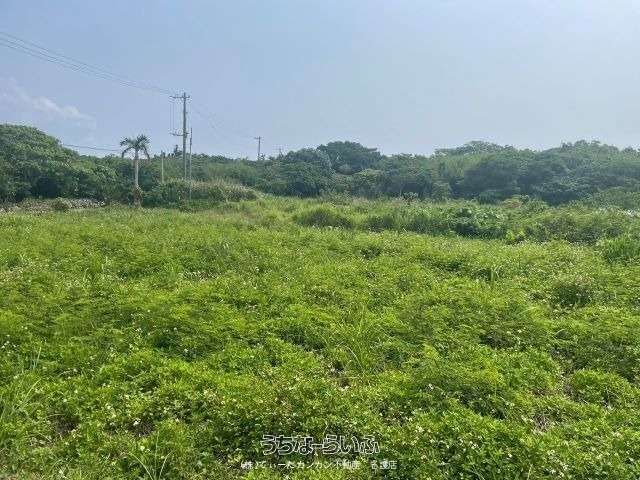 1758 sqm Development Land for Sale in Motobu, Okinawa - Thumbnail 4