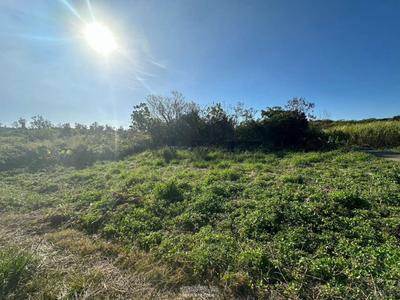 Motobu Town Sesoko / 772m² / 233.53 tsubo / Land for sale from 3.5 million yen to 18.81 million yen | Okinawa real estate information [Uchinaa Life] (t-5673-6240201-0558) — Land, Motobu, Okinawa