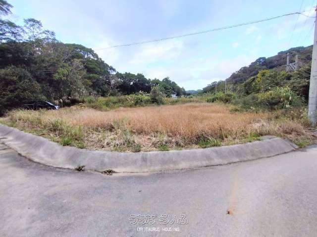 Land for Sale in Nakijin Village, Okinawa - 635.1 sqm Plot - Thumbnail 2
