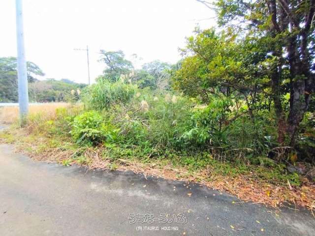Land for Sale in Nakijin Village, Okinawa - 635.1 sqm Plot - Thumbnail 3