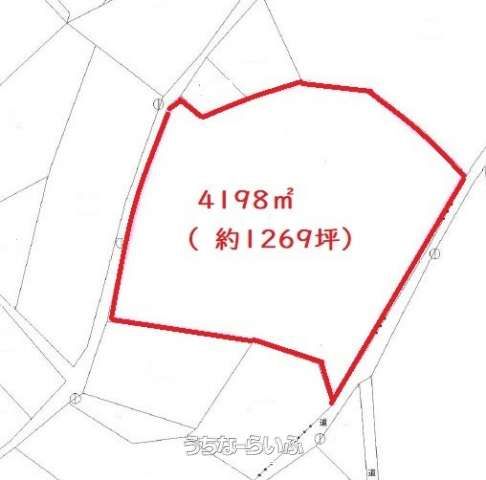 Ocean View Land for Sale in Motobu, Okinawa - 4198 sqm - Thumbnail 4