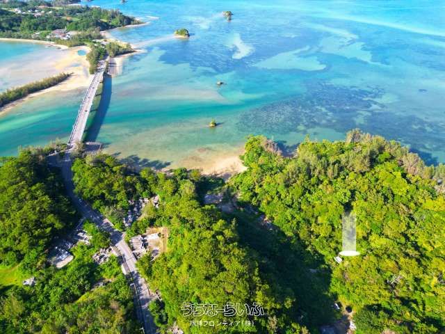 Cemetery Land for Sale in Makiya, Nago City, Okinawa - Thumbnail 2
