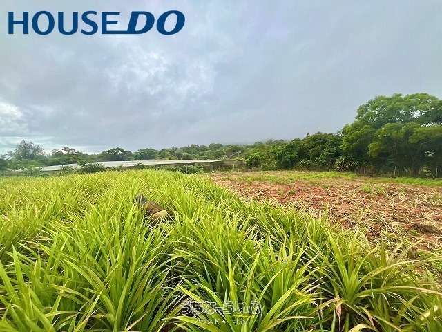 Large 13,317m² Land for Sale in Ogimi Village, Okinawa - Thumbnail 4