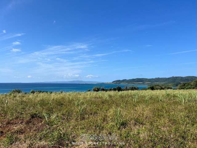 Agricultural Land for Sale in Ishigaki's Nagura Area - 11,901 sqm - Thumbnail 2