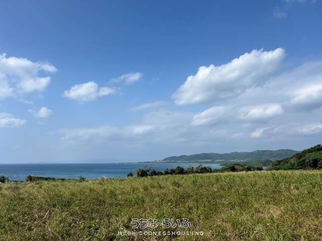 Agricultural Land for Sale in Ishigaki's Nagura Area - 11,901 sqm - Thumbnail 3