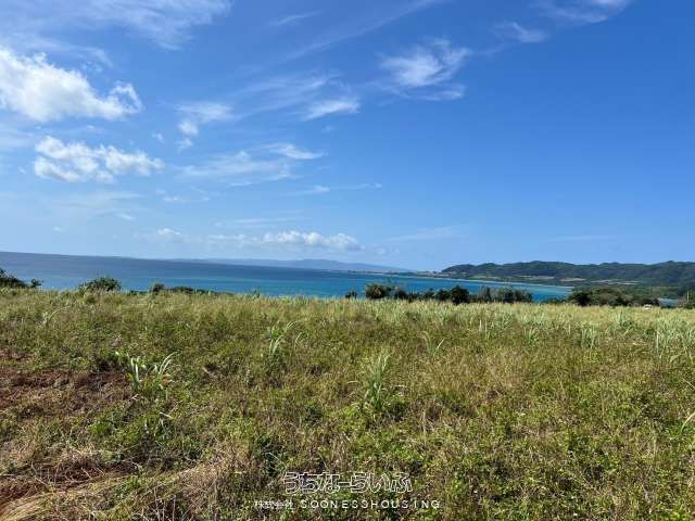 Agricultural Land for Sale in Ishigaki's Nagura Area - 11,901 sqm - Thumbnail 4