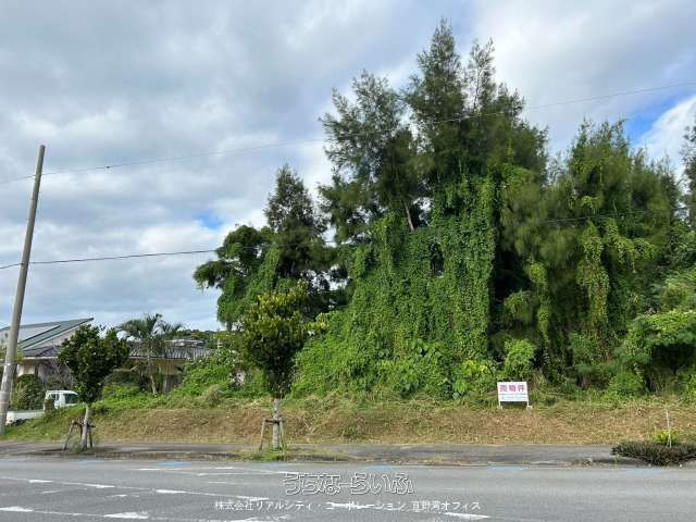 1,181 sqm Land for Sale in Nago, Okinawa - Ideal for Subdivision - Thumbnail 2