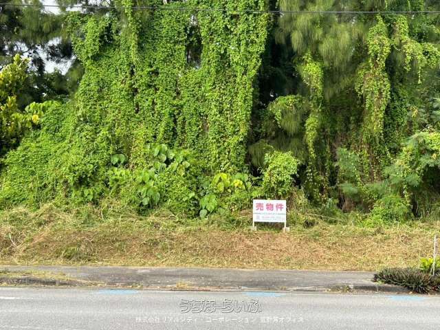 1,181 sqm Land for Sale in Nago, Okinawa - Ideal for Subdivision - Thumbnail 3
