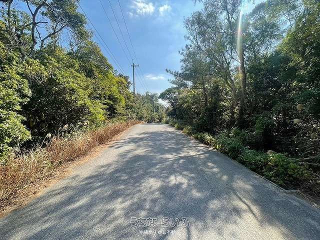 6,869m² Agricultural Land for Sale in Nago City, Okinawa - Image 1