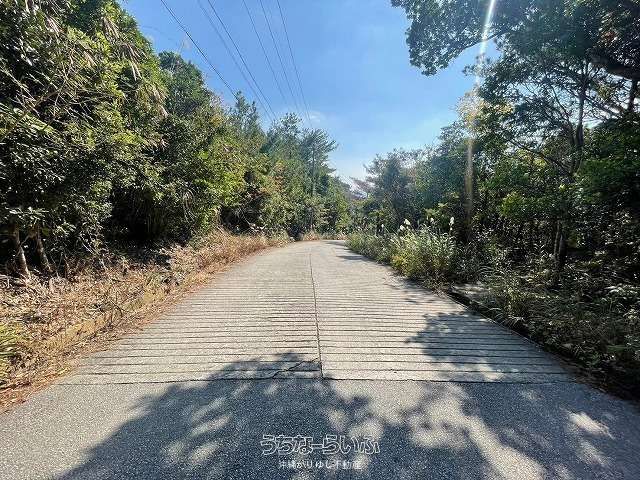 6,869m² Agricultural Land for Sale in Nago City, Okinawa - Thumbnail 3