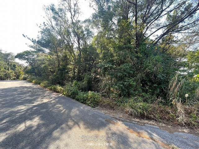 6,869m² Agricultural Land for Sale in Nago City, Okinawa - Thumbnail 4