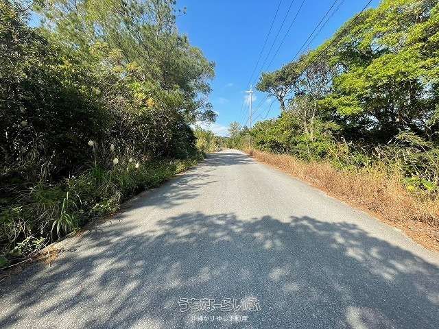 6,869m² Agricultural Land for Sale in Nago City, Okinawa - Thumbnail 2