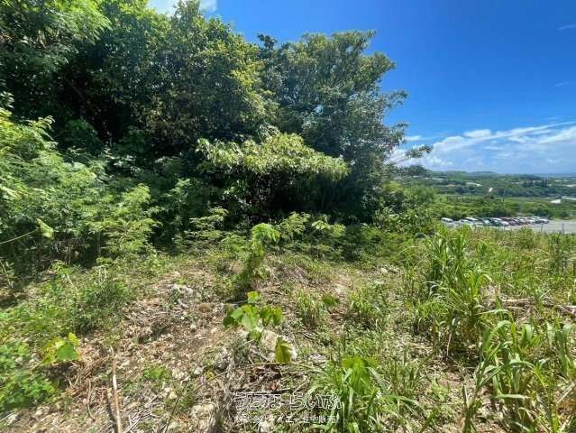 Land for Sale in Shinjo, Yaeze Town, Okinawa - 1965.61m² - Thumbnail 3